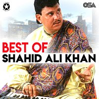 Shahid Ali Khan – Best Of Shahid Ali Khan