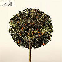 Cartel – Cartel