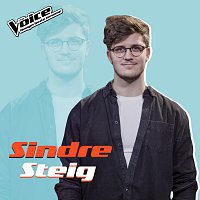 Sindre Steig – Stop This Train [Fra TV-Programmet "The Voice"]