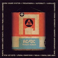 Přední strana obalu CD 4,5 Volt – AC/DC Tribute Album