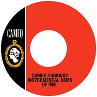 Přední strana obalu CD Cameo Parkway Instrumental Gems Of 1965