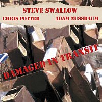 Steve Swallow, Chris Potter, Adam Nussbaum – Damaged In Transit