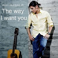 Julio Iglesias Jr – The Way I Want You