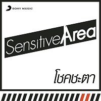 Přední strana obalu CD Chokchata