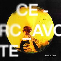 Přední strana obalu CD CERCAVO TE