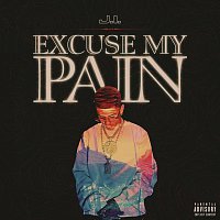 J.I the Prince of N.Y – Excuse My Pain