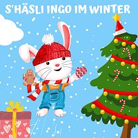 S'Hasli Ingo im Winter