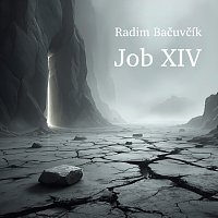 Radim Bačuvčík, VeRBuM DiGNuM – Job XIV