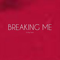 DJ Big Topic – Breaking Me