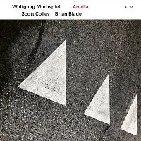 Wolfgang Muthspiel, Scott Colley, Brian Blade – Amelia