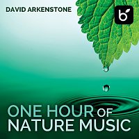 David Arkenstone – One Hour Of Nature Music: For Massage, Yoga And Relaxation