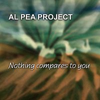 Al Pea Project – Nothing Compares To You