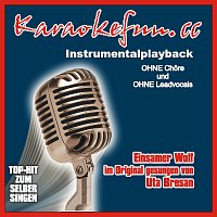 Einsamer Wolf - Instrumental - Karaoke