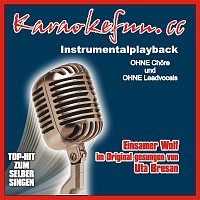 Karaokefun.cc VA – Einsamer Wolf - Instrumental - Karaoke