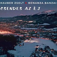 Hauber Zsolt, Bonanza Banzai – Csendes az éj