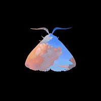 Chairlift – Moth to the Flame