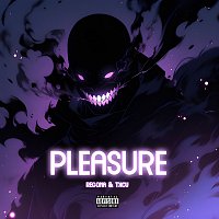 Přední strana obalu CD Pleasure [Remix]