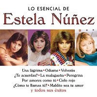 Lo Esencial de Estela Nunez