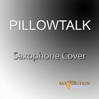 Saxtribution – Pillowtalk (Saxophone Cover)