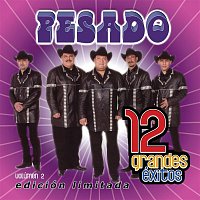 Pesado – 12 Grandes exitos  Vol. 2