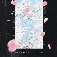 Shawn Mendes, Zedd – Lost In Japan [Remix]