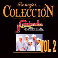 Přední strana obalu CD La Mejor Colección [Vol. 2]