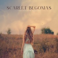 The Shaken Bakers – Scarlet Begonias (Acoustic)