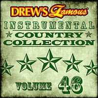 Přední strana obalu CD Drew's Famous Instrumental Country Collection [Vol. 46]