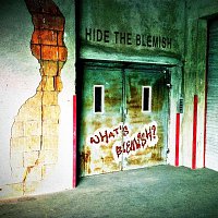 Přední strana obalu CD What´s Blemish?