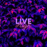 Přední strana obalu CD Live High