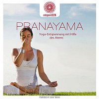 entspanntSEIN - Pranayama (Yoga-Entspannung mit Hilfe des Atems)