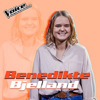 Benedikte Bjelland – Liability [Fra TV-Programmet "The Voice"]