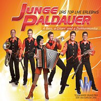 Junge Paldauer – A Bass, a Gitarr und a Ziehharmonika - Junge Paldauer