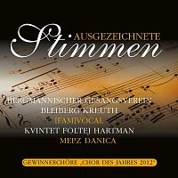 Bergmannischer Gesangsverein Bleiberg Kreuth, [fam]vocal, Kvintet Foltej Hartman – Ausgezeichnete Stimmen