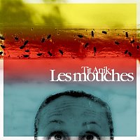 Tit Anik – Les mouches