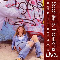Sophie B. Hawkins – Bad Kitty Board Mix [Live]