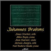 Přední strana obalu CD Johannes Brahms