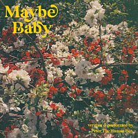 Peter The Human Boy – Maybe Baby