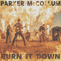 Burn It Down [Radio Edit]