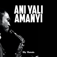 Elly Wamala – Ani yali amanyi