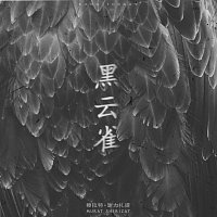 Přední strana obalu CD ???