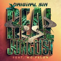 Přední strana obalu CD Real Junglist