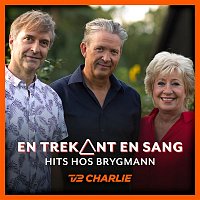 Various  Artists – En Trekant En Sang 6 - Hits Hos Brygmann