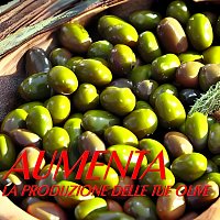 Aumenta la produzione delle tue olive