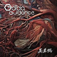 Přední strana obalu CD Guidance