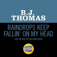 B.J. Thomas – Raindrops Keep Fallin' On My Head [Live On The Ed Sullivan Show, January 25, 1970]