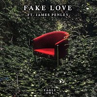 Eagle Owl, JAMES PENLEY – Fake Love (feat. JAMES PENLEY)