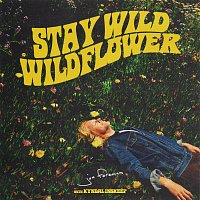 Jon Foreman, Kyndal – Stay Wild, Wildflower