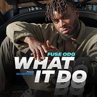 Fuse ODG – What It Do