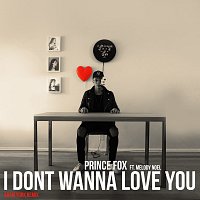 Prince Fox, Melody Noel – I Don't Wanna Love You [Adam York Remix]